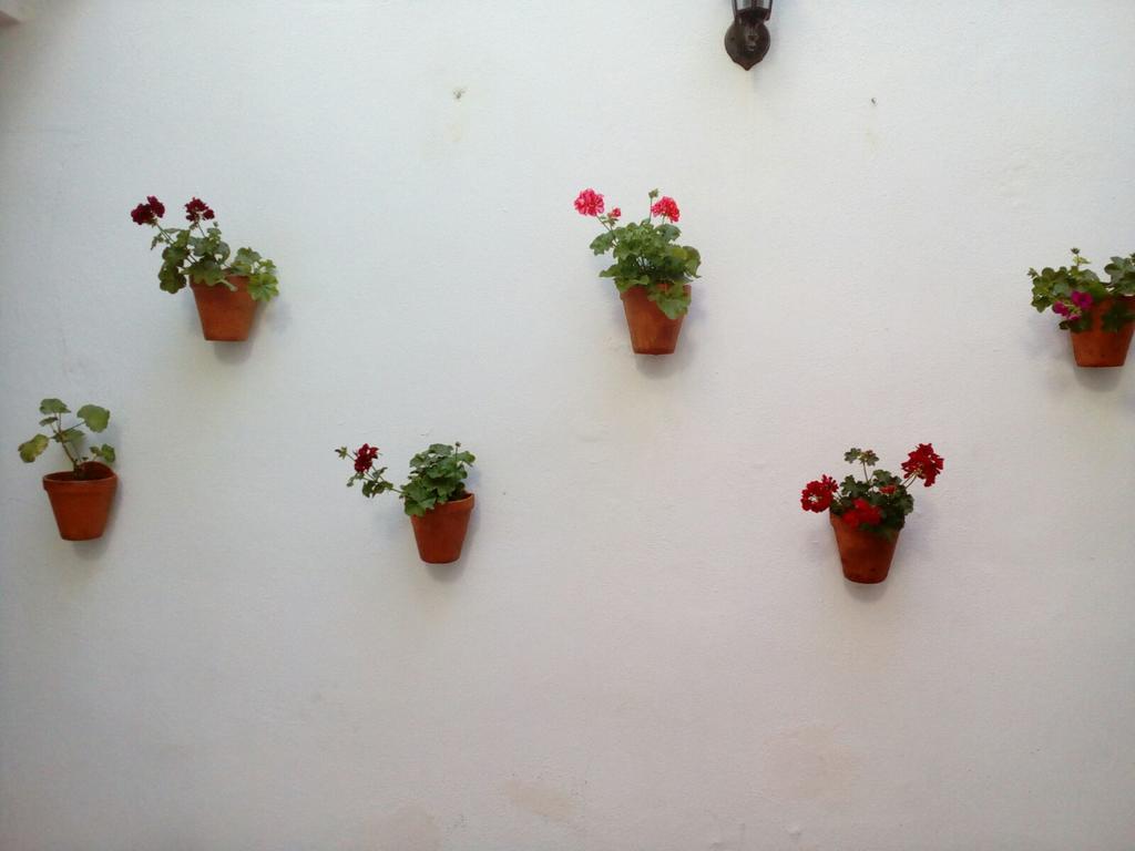 Apartamentos Porvera Jerez ヘレス エクステリア 写真
